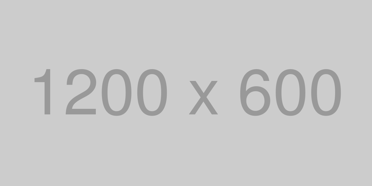 cores de bolsas 2025